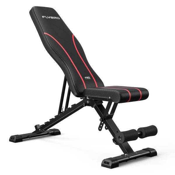 FLYBIRD WB2