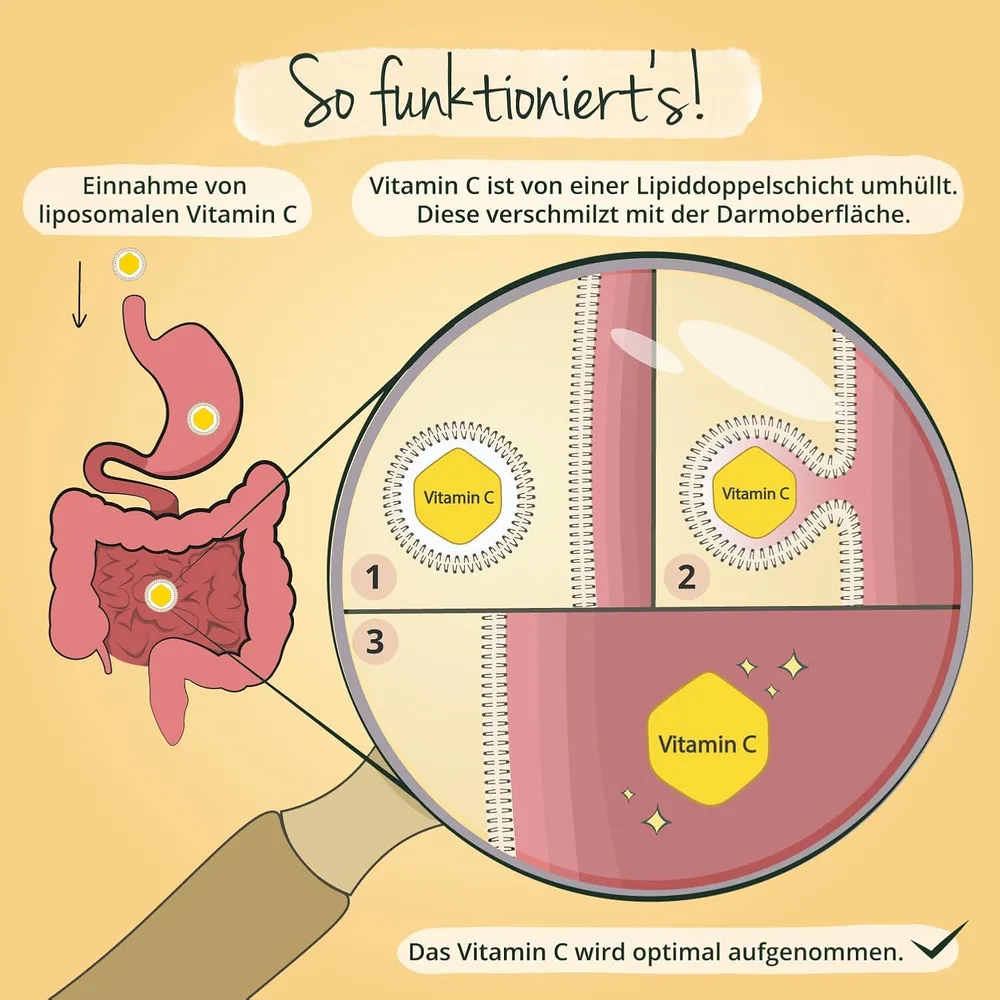 Vegavero Liposomales Vitamin C, vegan – Ansicht 4